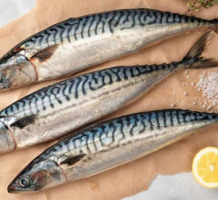 Рыбный день: готовим скумбрию