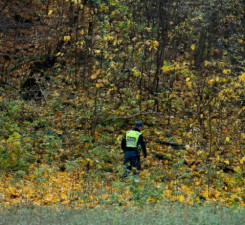 Россиянин, сошедший с транзитного поезда, не найден и после расширения территории поисков