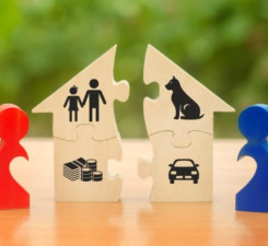 Разделят при разводе?