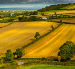 Дарение земли сельскохозяйственного назначения