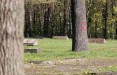 Деревья на каунасском военном кладбище изрисованы буквой Z