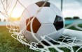 Президент Литвы скептически оценивает введение прямого управления в футбольной федерации