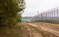 На границе Литвы с Беларусью развернули 12 нелегальных мигрантов