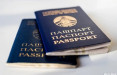 МВД Литвы обещает уточнить и критерии выдачи паспорта иностранца