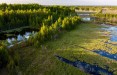 Погранслужба Литвы рассматривает возможность установки заграждения и на болотах