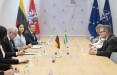 Министр обороны Литвы обсудил с послом Швеции военное сотрудничество