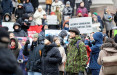 Около ста человек протестуют у Сейма Литвы против сплошной вырубки лесов