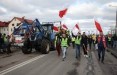СОГГЛ: на границе удалось избежать хаоса во время протестов польских фермеров