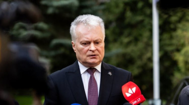 Президент Литвы: страны региона могут присоединиться к иску Литвы в Гаагу по Беларуси