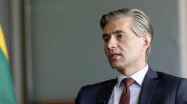 Кястутис Будрис: операция Украины против авиации России показывает, что будут и другие вторжения