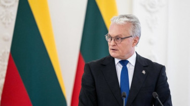Президент призывает не спешить с выводами относительно  возможности Палуцкаса продолжать работу