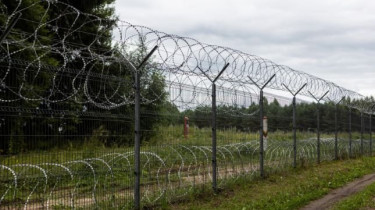 СОГГЛ: на границе Литвы с Беларусью пограничники развернули двух нелегальных мигрантов
