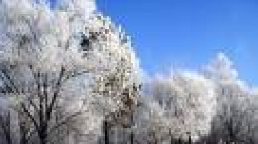 Литовцев ждут долгие выходные