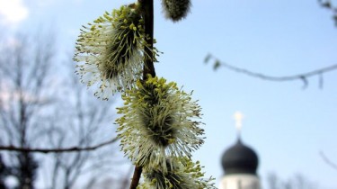 17 апреля - Вербное воскресенье (на 2022 год)