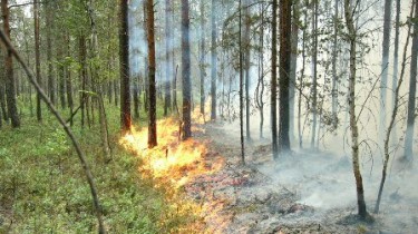 Пожары наносят огромный вред литовским лесам
