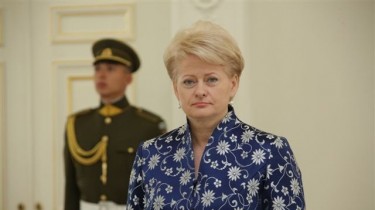 Президент Литвы: «Маленькое государство может думать о смешанных ВС»