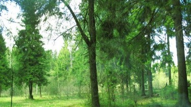 Очень может быть, что однажды, войдя в лес, вы наткнетесь на забор с надписью "Частная территория"...