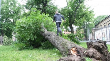 Стихийные бедствия не обходят стороной и Литву