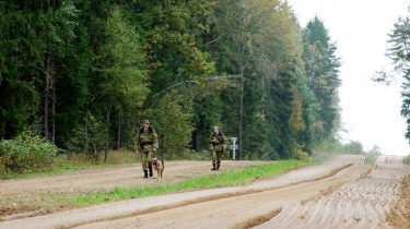 Больше всего нелегально в Литву стремятся россияне и грузины