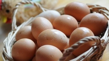 Как найти экологически чистые яйца?