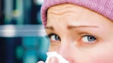 Эпидемия гриппа в Литве объявлена в трети муниципалитетов