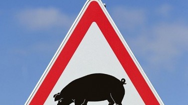 В Литве из-за африканской чумы свиней объявлена экстремальная ситуация