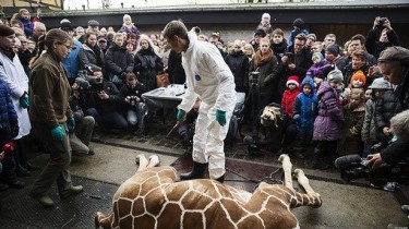 Гуманное убийство по европейским правилам