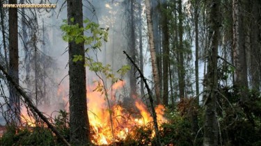 В Литве усиливается противопожарная защита лесов