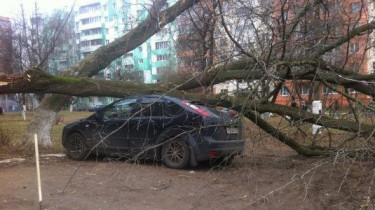 Из-за сильного ветра без электроэнергии в Литве остались 20 тыс. потребителей