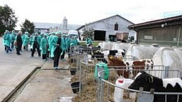 Новые рынки помогут восстановиться молочному сектору Литвы