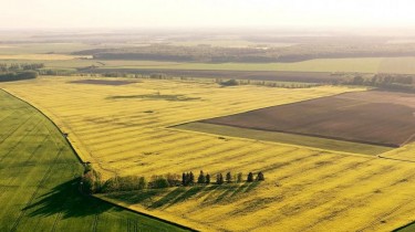ЕК: Литва обязана упростить продажу земли иностранцам (дополнено)