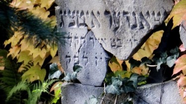 Студенты из США привели в порядок еврейское кладбище в Стаклишкес