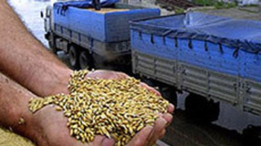 Перевозчики зерна в этом году будут конкурировать за грузы