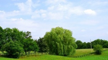 Возврат земли в городах: дали два года