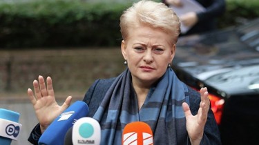Президент Литвы: в повестке работы правящих не видно целенаправленных решений