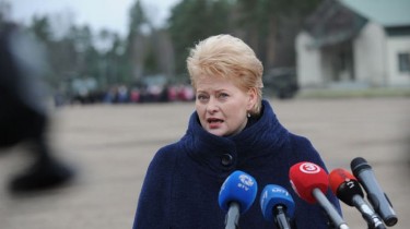 Президент Литвы за участок земли на окраине Вильнюса заплатила 75 тыс. евро (СМИ)