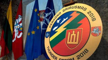 ВС Литвы: наблюдать за военными учениями в июне сможет и общественность