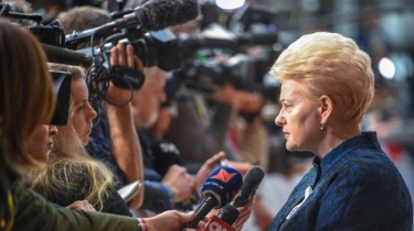 Президент: новое расследование – месть олигархов