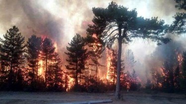 В пятницу в Литве вспыхнули крупные лесные пожары (дополнено)