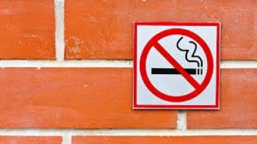 Премьер Литвы: предложения снизить доступность табака не должны подрывать производителей