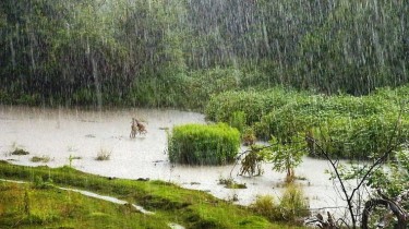 Экстремальные погодные условия: убытки сельского хозяйства Литвы на сотни миллионов евро