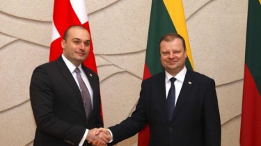 Литва и Грузия стремятся укреплять экономические связи