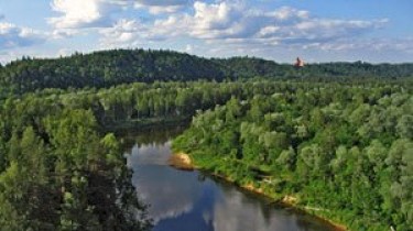КС Литвы: принятая в срочном порядке реорганизация лесничеств противоречит Конституции