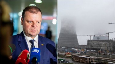 Премьер Литвы отметает критику Д. Грибаускайте по поводу общей системы мониторинга БелАЭС
