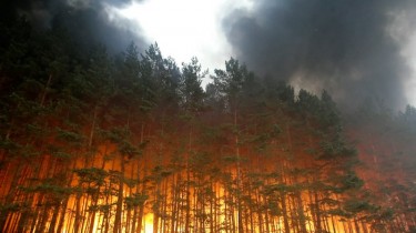Лесники предупреждают, что опасность пожаров в Литве остается высокой