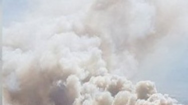 В Шилутском районе горит 12 гектаров торфяника