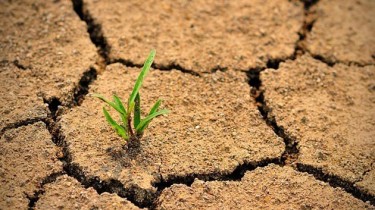 В Литве объявлена ​​гидрологическая засуха в национальном масштабе