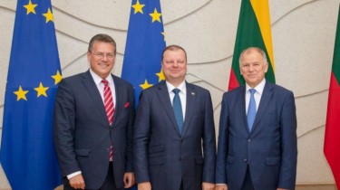 Премьер: Литва хочет получить в ЕК портфель комиссара по энергетике, экономике или границе