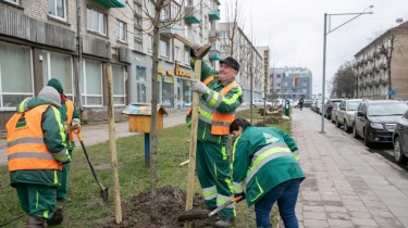 Пусть будет город-сад!