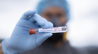 В Литве подтверждены 7 новых случаев заражения коронавирусом, общее число - 1541